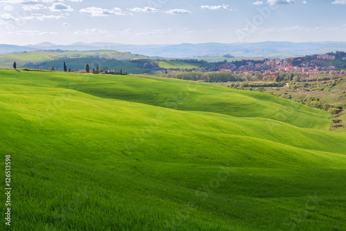 Typical Tuscany landscape, green hills springtime