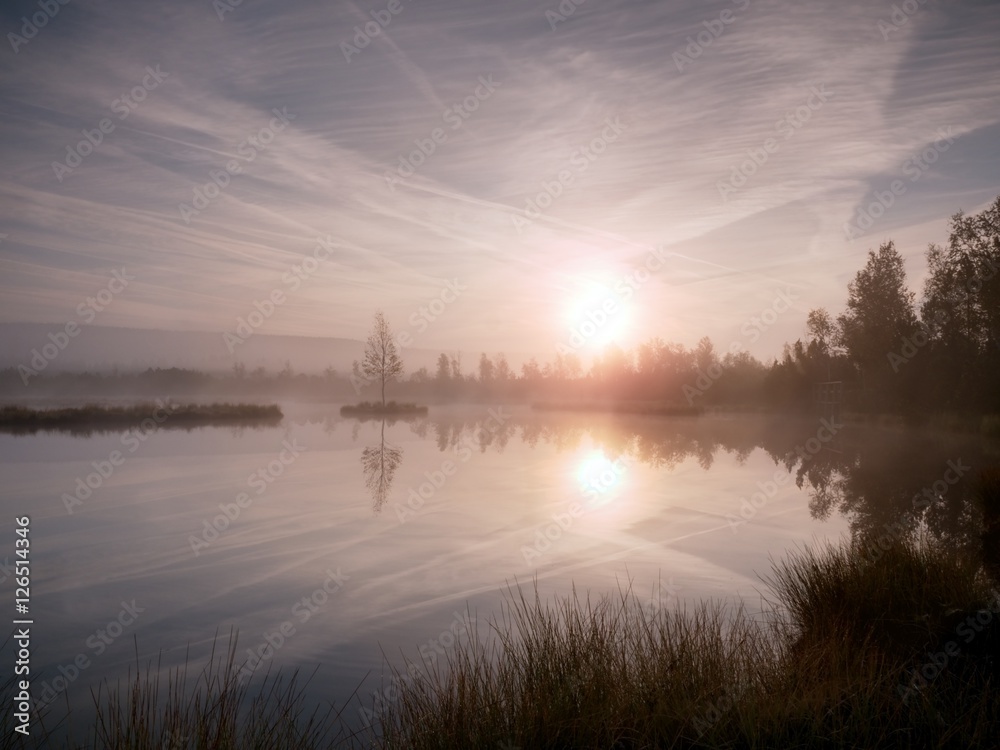 Early morning autumn at mountain lake in dreamy atmosphere, tree on island in middle. Early morning autumn at mountain lake in dreamy atmosphere, tree on island in middle.