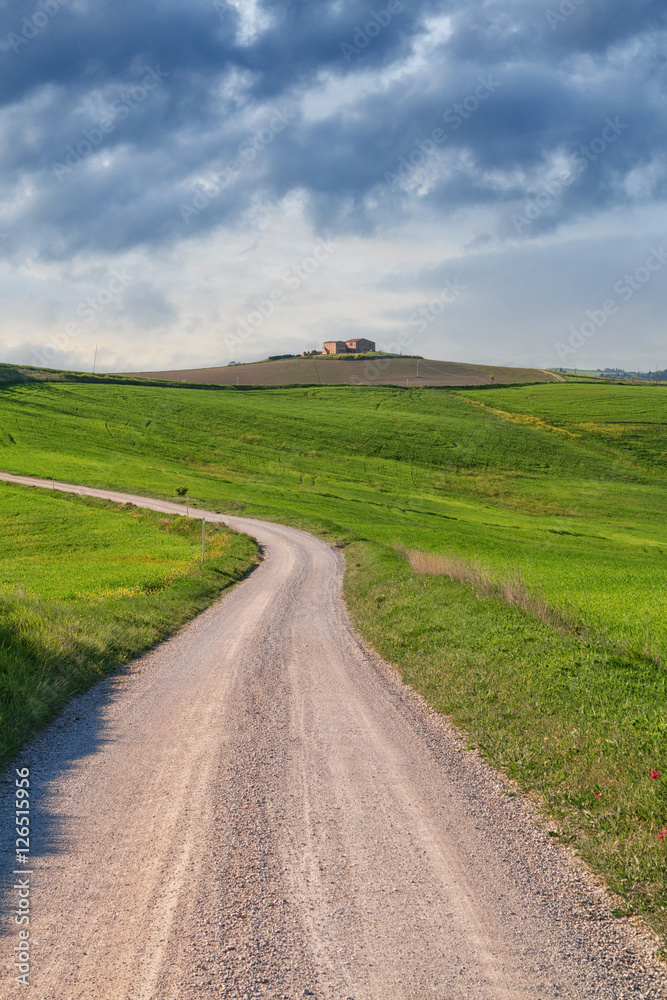 Typical Tuscany landscape and road , green hills springtime