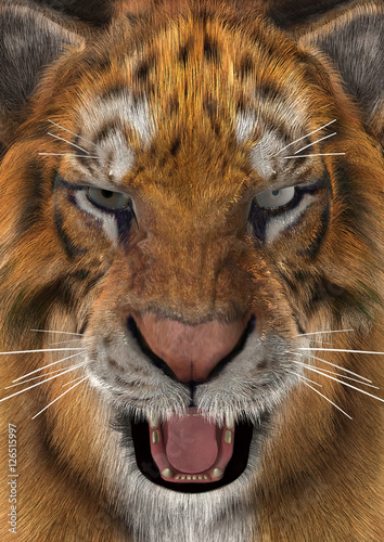 Fototapeta Naklejka Na Ścianę i Meble -  3D Rendering Tiger