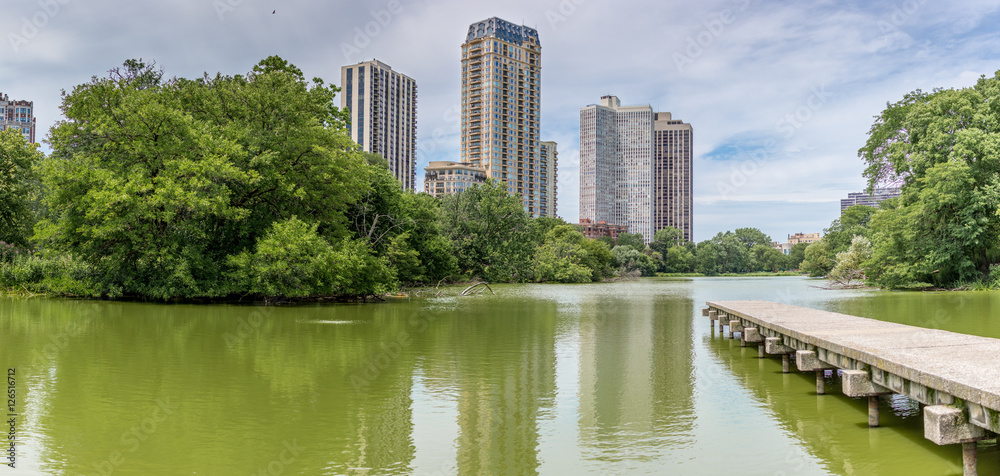 North pond at Chicago's Lincoln park