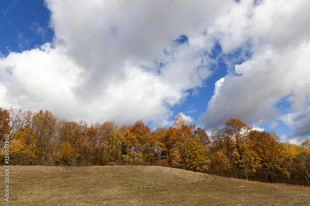 Nature in autumn season