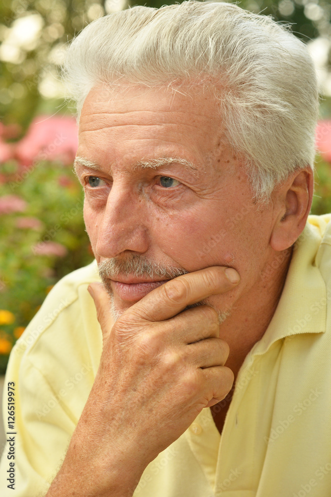 portrait of a senior man portrait of a senior man