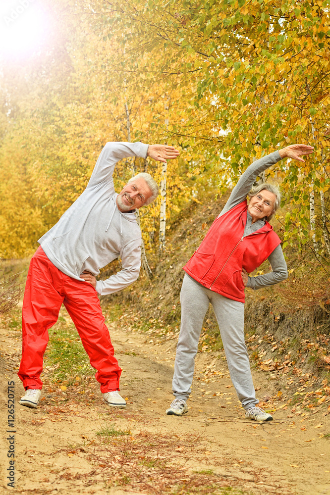 Fototapeta premium fit senior couple exercising