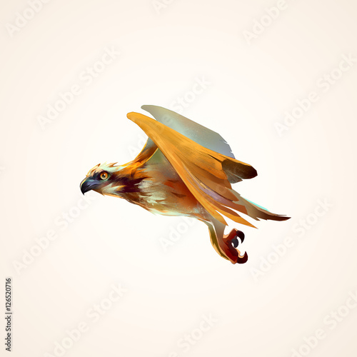 Foto drawing flying hawk isolated