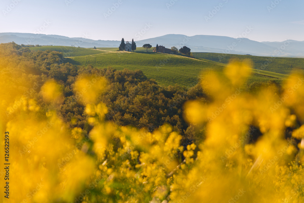 Tuscany landscape on the hill  with a little chapel of Madonna d