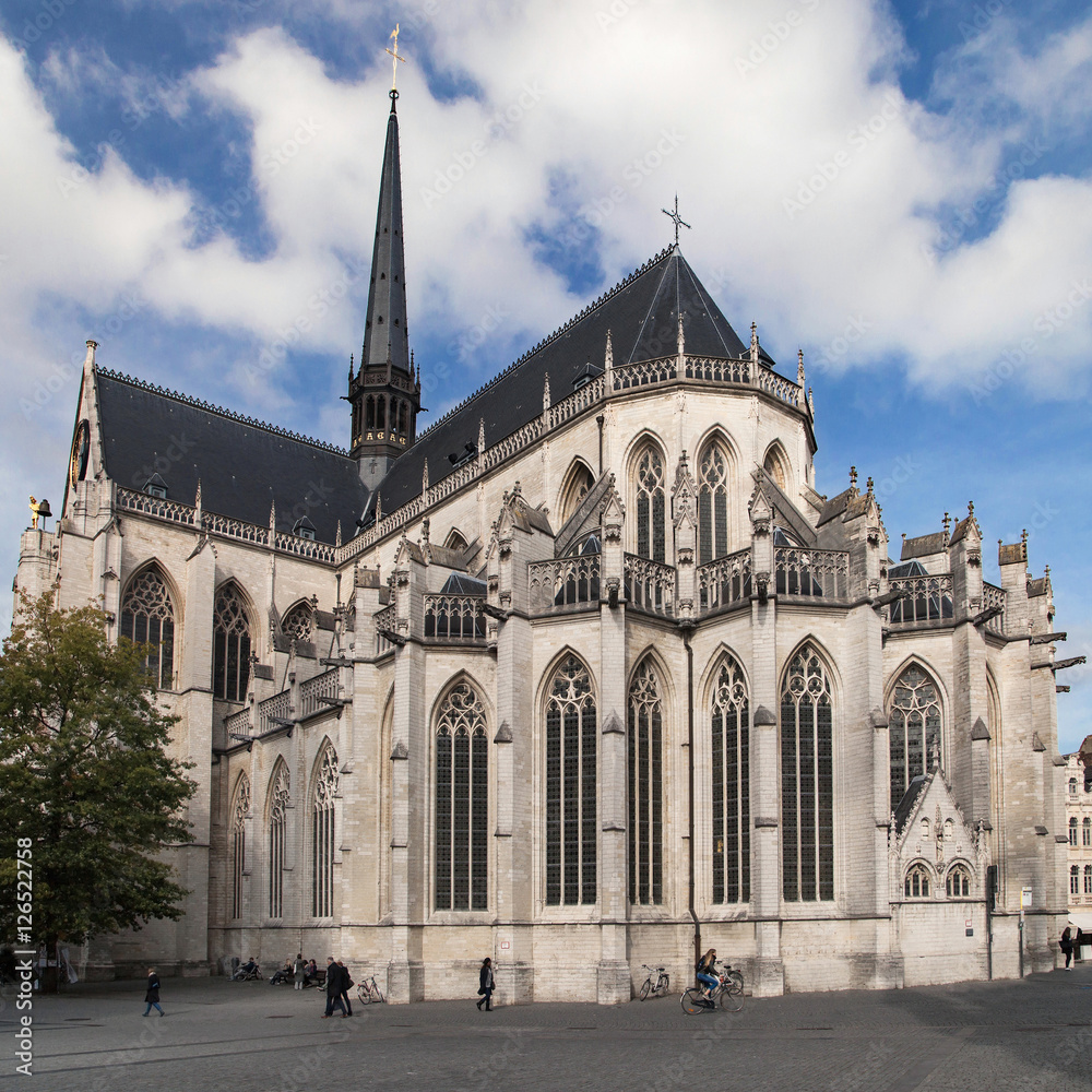 Obraz premium Saint Peter's Church in Leuven