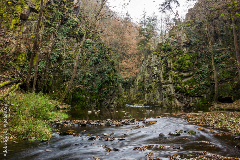 Obraz premium Autumn creek in bohemian forest, Czech Republic.
