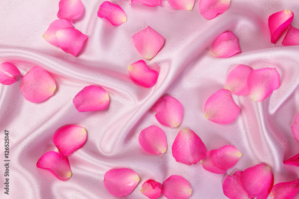  sweet pink roses  petal on  soft pink silk fabric , romance 