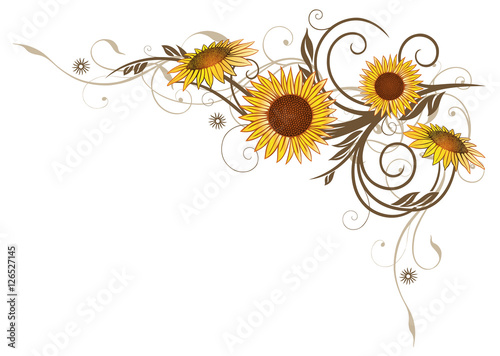 Fototapeta Naklejka Na Ścianę i Meble -  Filigrane Ranke mit Sonnenblumen und Blättern.