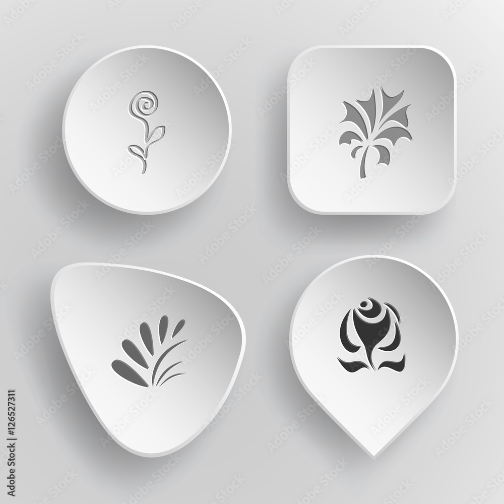 4 images: flower, plant, rose. Abstract set. White concave butto 4 images: flower, plant, rose. Abstract set. White concave butto