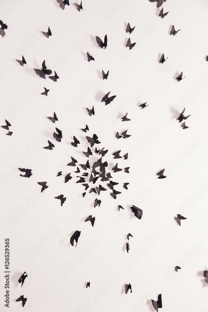 Black butterfly on a white background. Black butterfly on a white background.