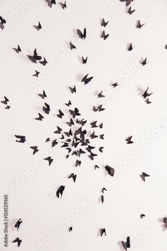 Black butterfly on a white background.