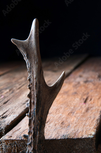 Deer antlers on wooden background