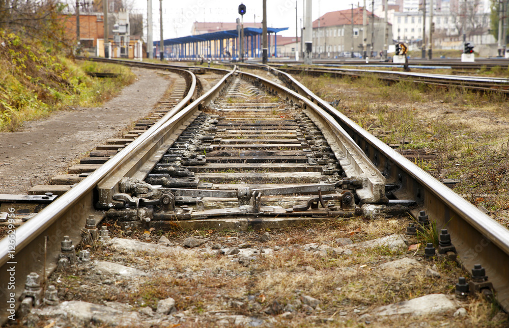 Obraz premium Railway and trains