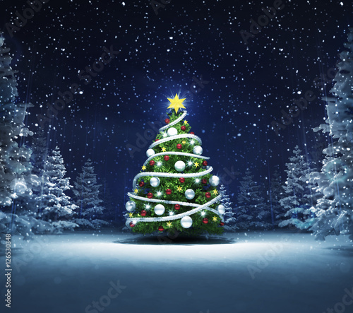 xmas tree in winter snowy woods
