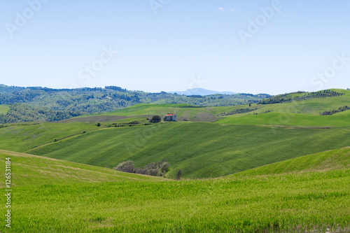 Typical Tuscany landscape springtime © rolandbarat