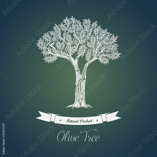Ancient greek olive oil tree in grove