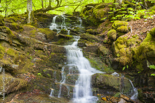 Fließendes Wasser in den Birks of Aberfeldy, Schottland