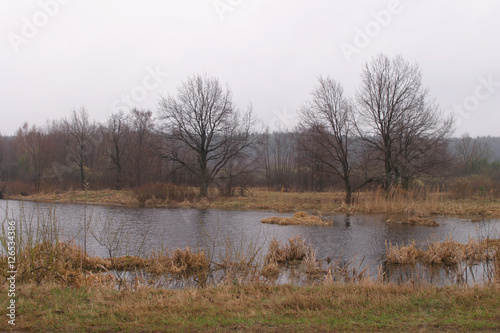 spring landscape