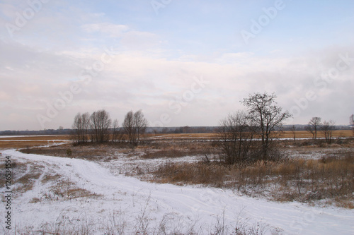 Wallpaper Mural First snow Torontodigital.ca