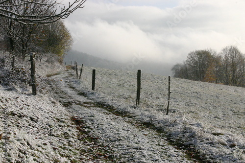 Novembermorgen