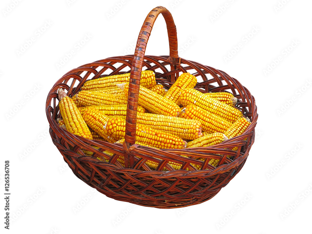 Yellow corn vegetable in basket isolated