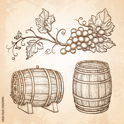 Grape branches and barrels