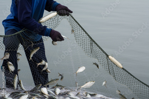 On the fisherman boat,Catching many fish at mouth of Bangpakong river in Chachengsao Province east of Thailand. photo