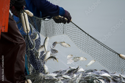 On the fisherman boat,Catching many fish at mouth of Bangpakong river in Chachengsao Province east of Thailand. photo