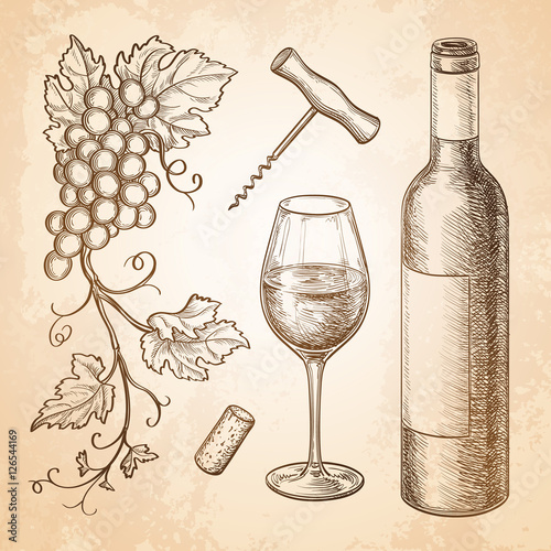 Vector illustration of wine