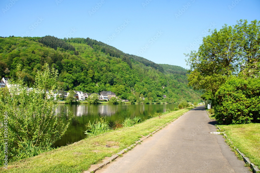 Fototapeta premium Radweg entlang der Mosel in Traben-Trarbach 