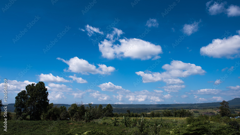Obraz premium Landscape with cloud and bluesky
