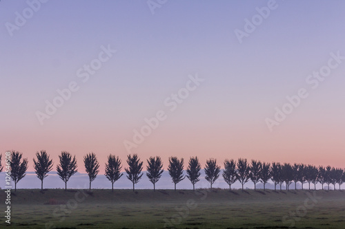 the blue hour before sunrise in the Dutch landscape