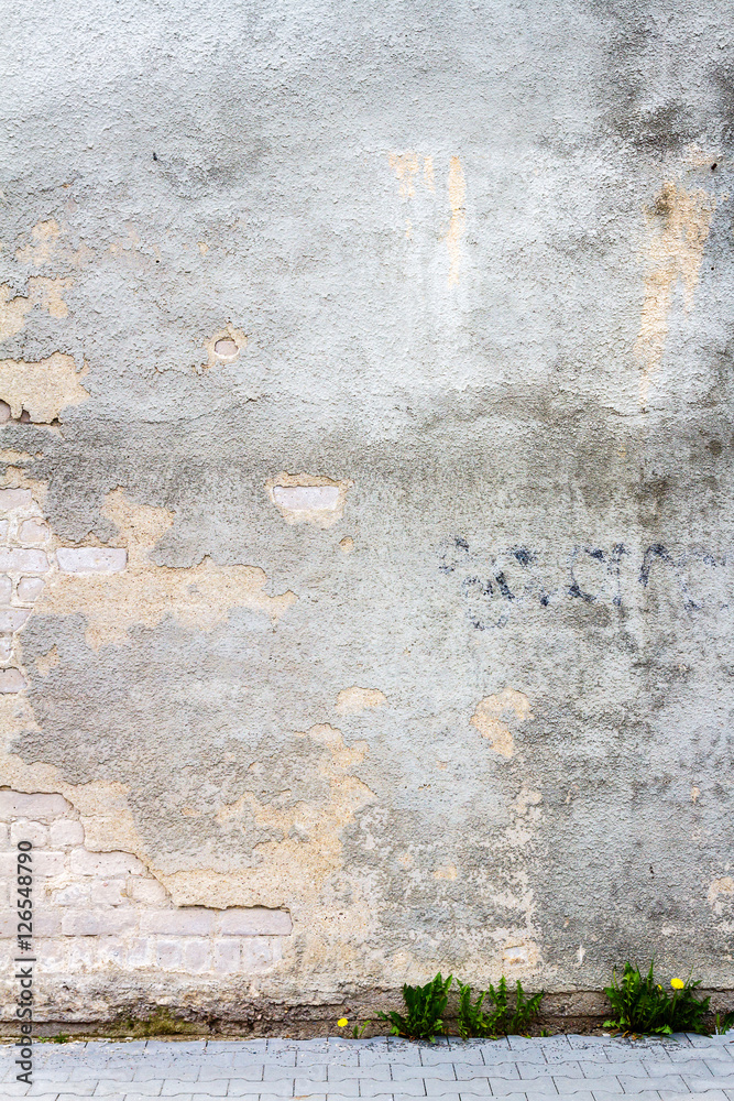 Old brick wall Old brick wall