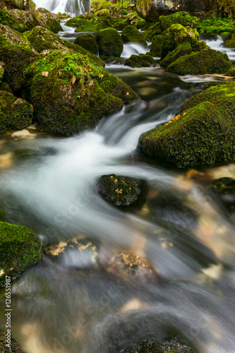 A rapid  mountain creek running deep in a dense forest
