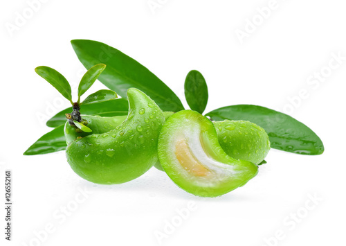 Wallpaper Mural Garcinia schomburgkiana Pierre on white background Torontodigital.ca