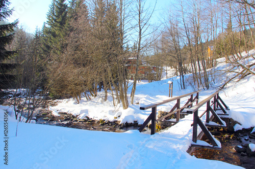 Winter landscape with forest and river photo