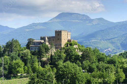 Quadro su tela Typical castle in Marche