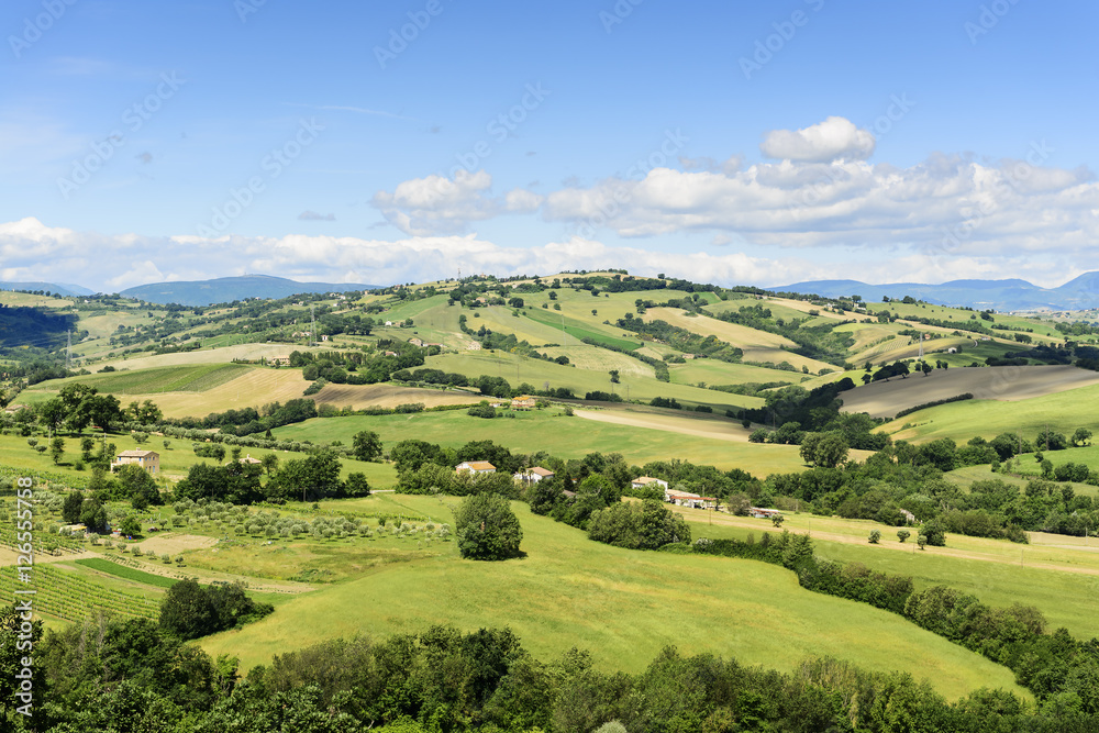 Typical landscape Marche