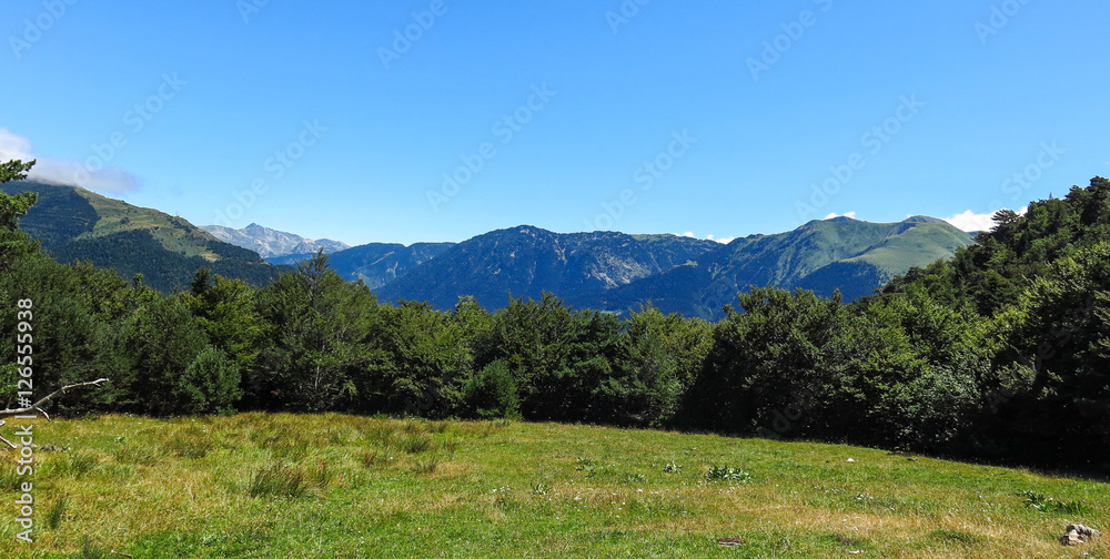 Naklejka premium Aran valley in the Catalan Pyrenees, Spain
