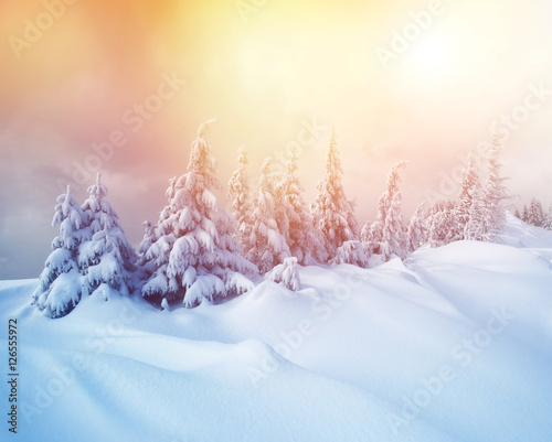 Fantastic winter scene © Leonid Tit