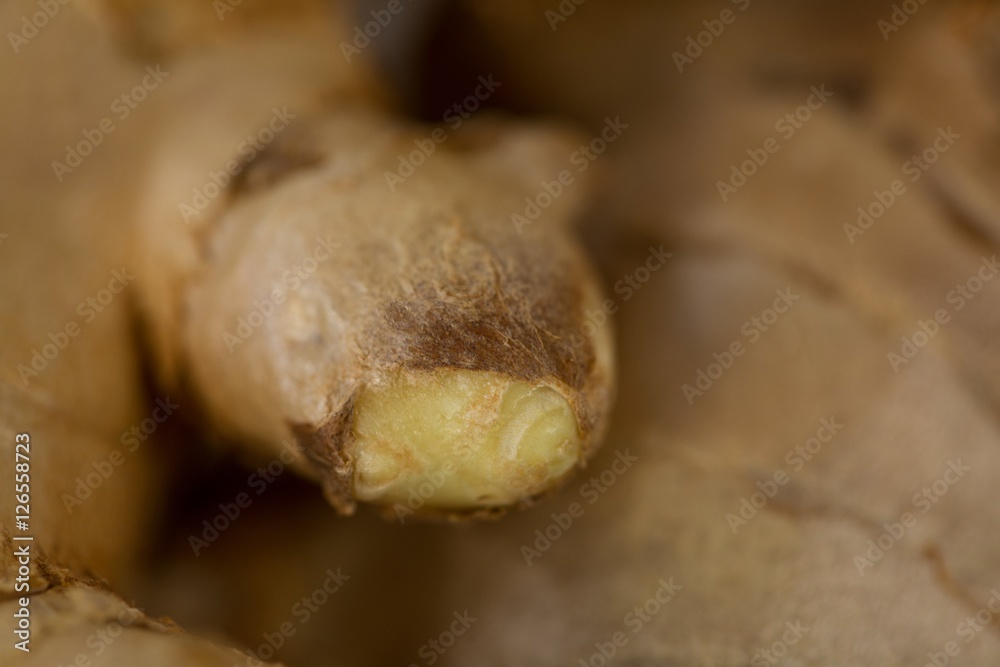 Fototapeta premium Close-up of ginger