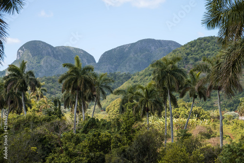 Kuba,Vinales; Das " Vinales Tal " mit dem Karstgebirge, die " Mogoten ".