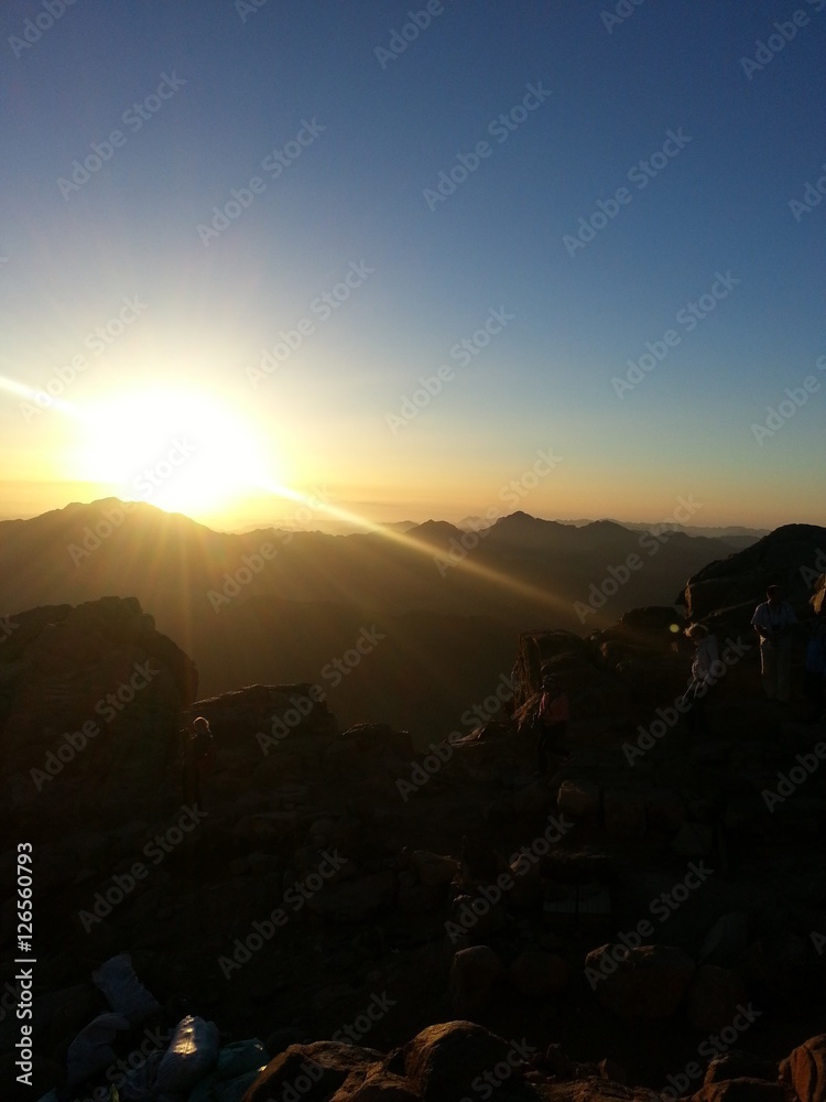 custom made wallpaper toronto digitalSunrise