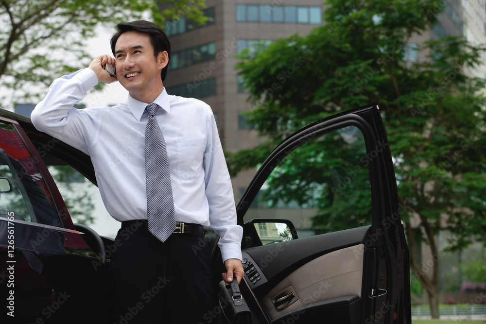 Businessman standing next to car, using mobile phone, smiling Businessman standing next to car, using mobile phone, smiling