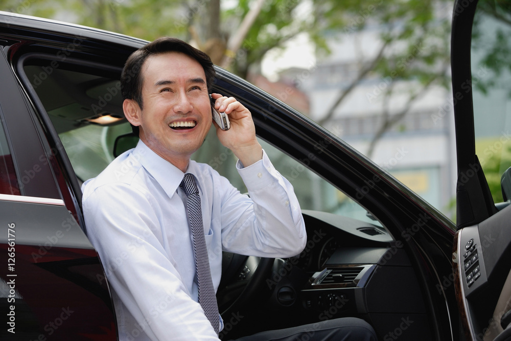 Businessman sitting in car, using mobile phone, smiling