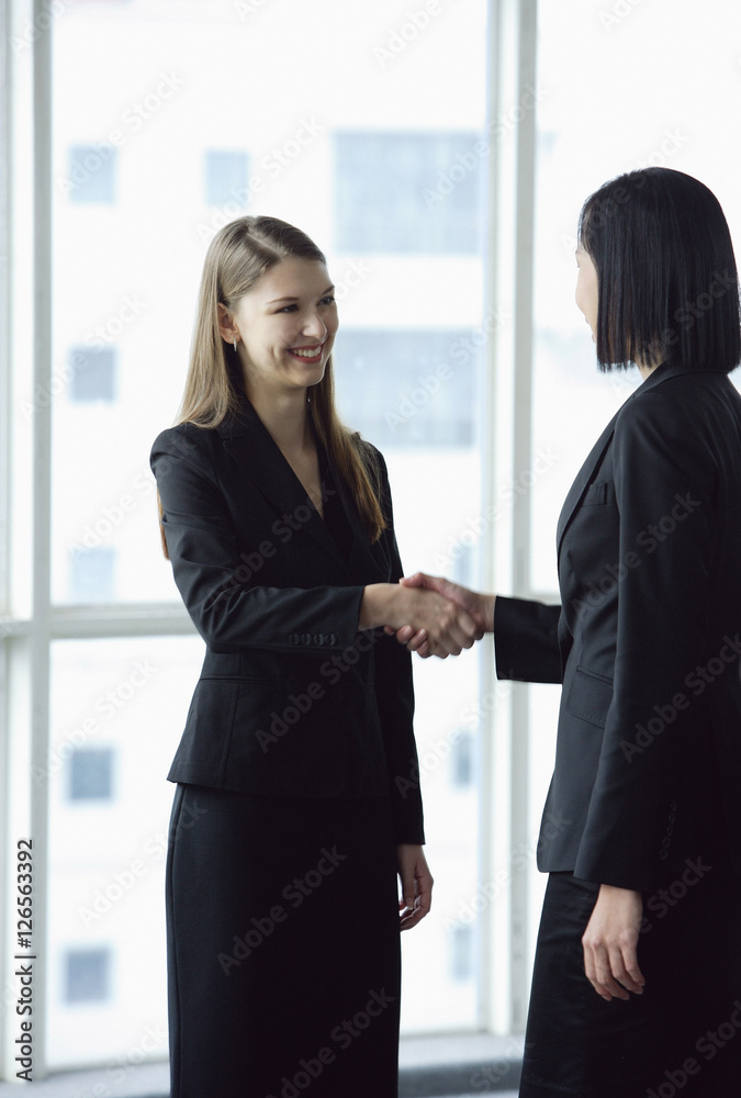 Two businesswomen standing and shaking hands Two businesswomen standing and shaking hands