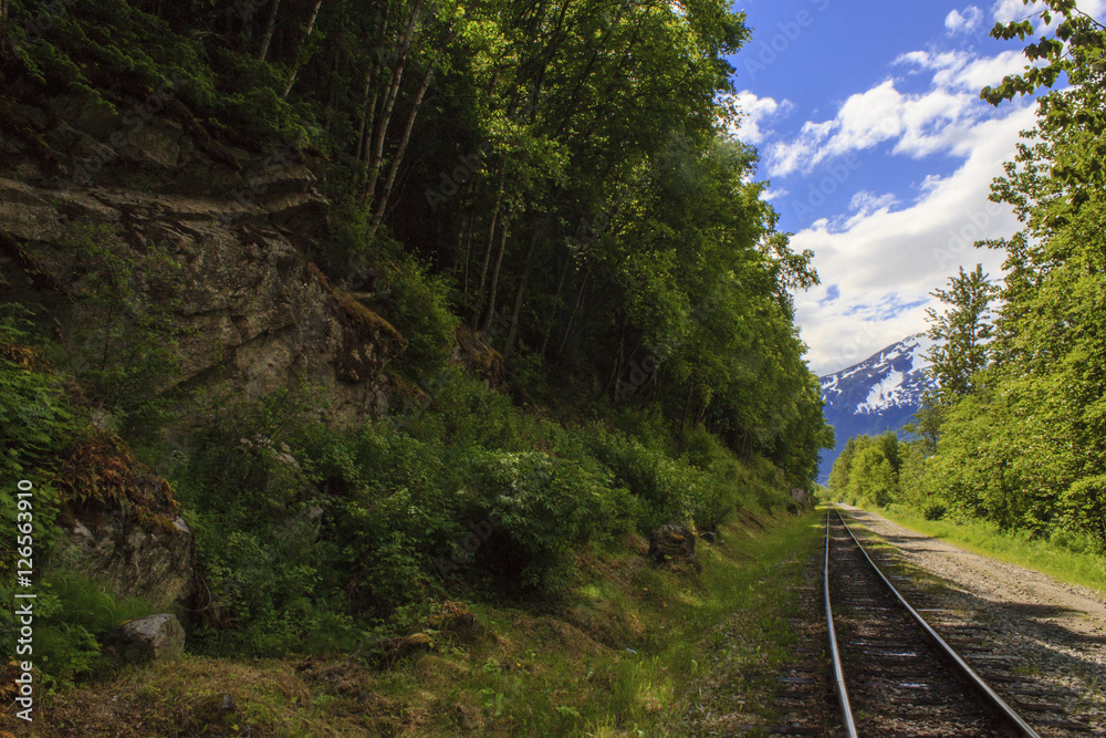 Alaskan Railway