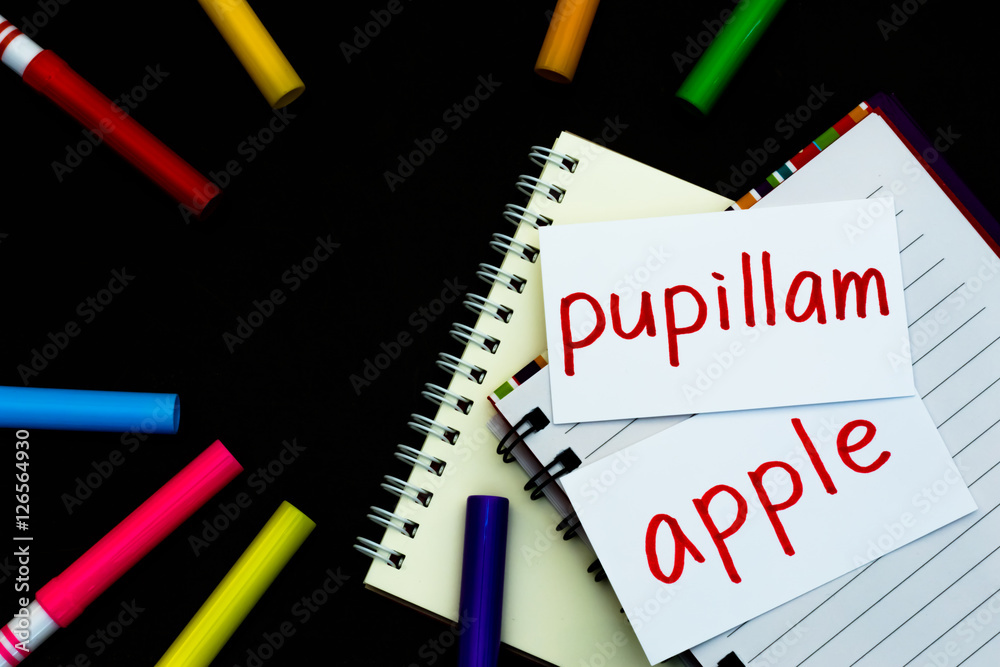 Latin and English; Learning New Language with Handwritten Flash Latin and English; Learning New Language with Handwritten Flash